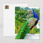 Stijlvolle Blauwe Groene Peacock Foto altijd Spark Briefkaart (Voorkant / Achterkant)