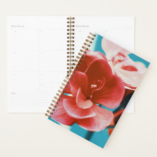 Stijlvolle Bleke rode koraalbloemen Turquoise Planner (Display)