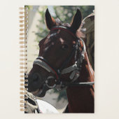 Stijlvolle bruine paard glimlachend hoofdschets planner (Voorkant)