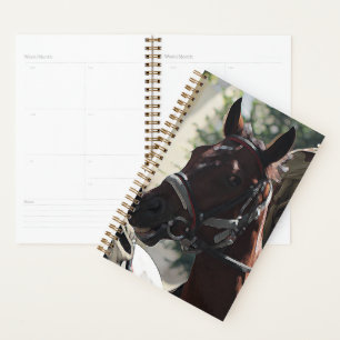 Stijlvolle bruine paard glimlachend hoofdschets planner