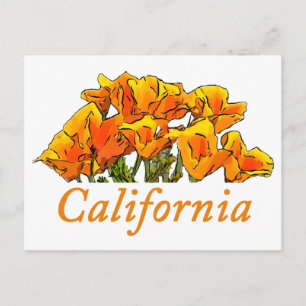 Stijlvolle California Poppy Art, 'California'-teks Briefkaart