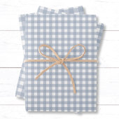 Stijlvolle Classic Dusty Blue Gingham Check Patter Inpakpapier Vel