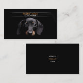 Stijlvolle dierenverzorging, gezelschapszitten, ho visitekaartje (Voorkant / Achterkant)