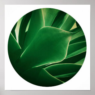 Stijlvolle Felgroene Plant Succulent Poster