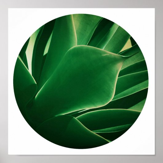 Stijlvolle Felgroene Plant Succulent Poster (Voorkant)