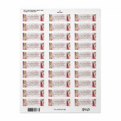 Stijlvolle Girly Roze Wit Goud Zebra Etiket (Full Sheet)