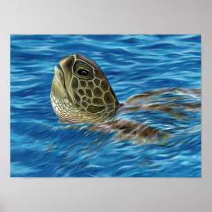 Stijlvolle, groene basisschildpad poster