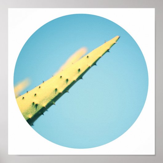 Stijlvolle Groene Cactusdoorns Blauwe Lucht Poster (Voorkant)
