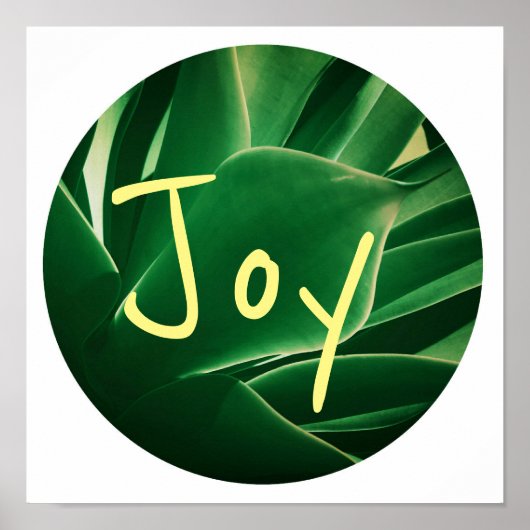 Stijlvolle Groene Plant Succulent Joy Poster (Voorkant)