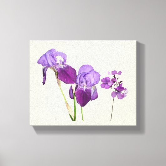 Stijlvolle hete paarse iris bloemen digitale beeld canvas afdruk (Voorkant)