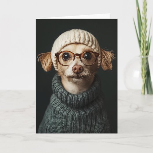 Stijlvolle hond in gezellige outfit (Voorkant)