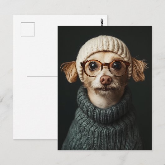 Stijlvolle hond in gezellige outfit briefkaart (Voorkant / Achterkant)