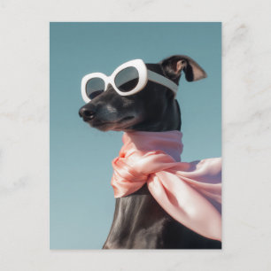Stijlvolle hond met zonnebril sjaal briefkaart