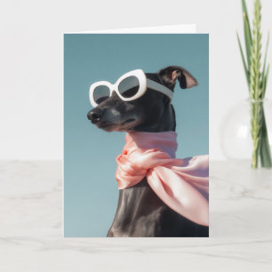 Stijlvolle Hond Met Zonnebril Sjaal Kaart
