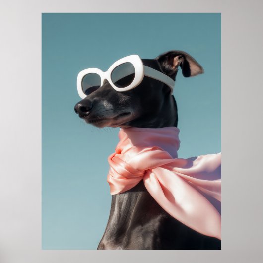 Stijlvolle hond met zonnebril sjaal poster (Voorkant)