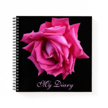 Stijlvolle  hot pink roos bloem zwart trendy