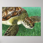 Stijlvolle jonge groene schildpad poster (Voorkant)
