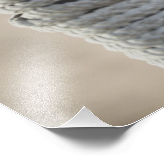 Stijlvolle jonge vrouw in zwart Off-Shoulder Top Foto Afdruk (Hoek)