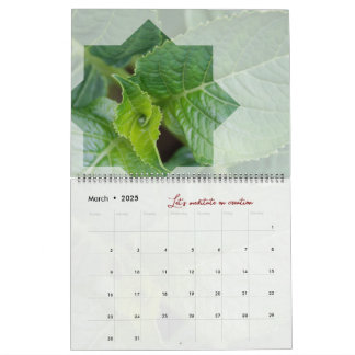 Stijlvolle kalender