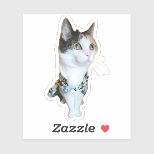 Stijlvolle Kat Grappige Sticker (Vel)