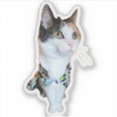 Stijlvolle Kat Grappige Sticker (Voorkant)