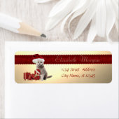 Stijlvolle kat met kerstcadeau, kerstcadeautjes etiket (Insitu)