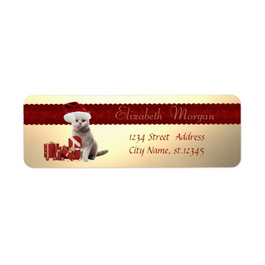 Stijlvolle kat met kerstmuts,Kerstcadeaus Etiket (Voorkant)