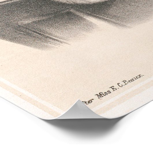  stijlvolle katten Tekenkunst afdrukken Poster (Hoek)