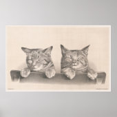  stijlvolle katten Tekenkunst afdrukken Poster (Voorkant)