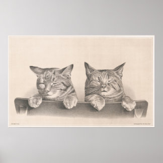 stijlvolle katten Tekenkunst afdrukken Poster