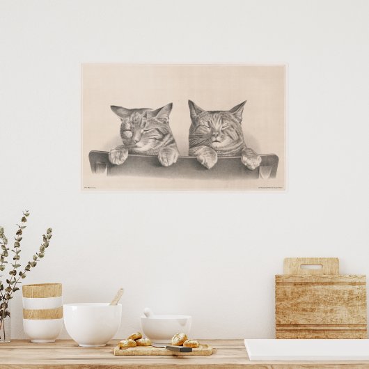  stijlvolle katten Tekenkunst afdrukken Poster (Keuken)