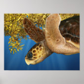 Stijlvolle Loggerhead Zee Turtle with Sargassum Poster (Voorkant)