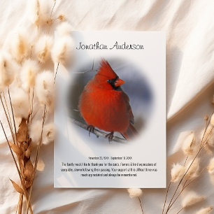 Stijlvolle Minimale Rode Kardinaal Rouw Dank Je Bedankkaart