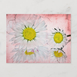 Stijlvolle Mod Surprise Whimsical Klasse Bestemmin Briefkaart