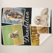 Stijlvolle Moderne Huisdier Hond Fotogalerij Colla Sherpa Deken (Voorkant (horizontaal))