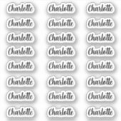 Stijlvolle Naam Sticker decal naam labels (Voorkant)