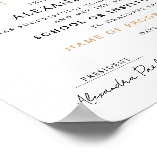 Stijlvolle professionele certificaat Logo kalligra Poster (Hoek)