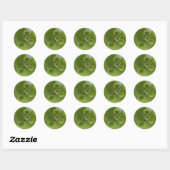 Stijlvolle Rijke Groene Druiven Wijnstok Sticker (Vel)