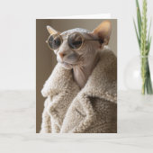 Stijlvolle Sphynx Cat in zonnebril en Sherpa Coat (Voorkant)