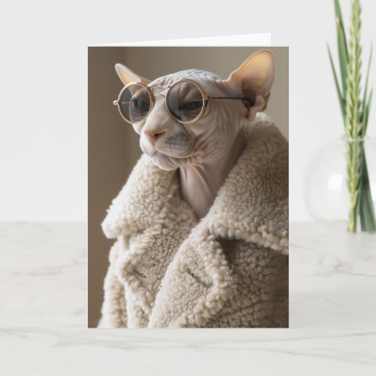 Stijlvolle Sphynx Cat in zonnebril en Sherpa Coat (Voorkant)