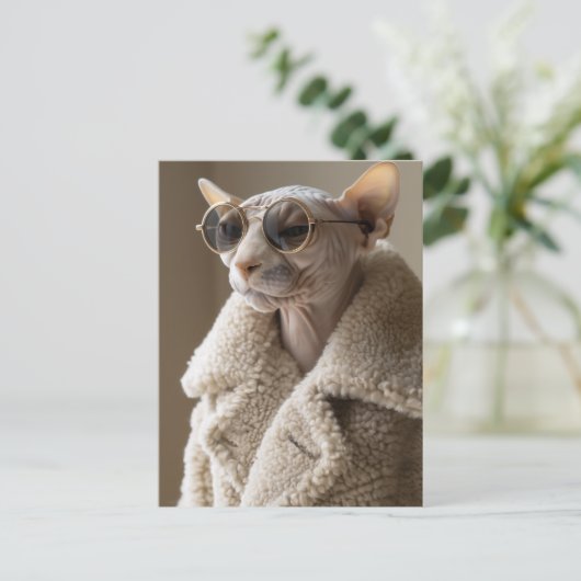 Stijlvolle Sphynx Cat in zonnebril en Sherpa Coat Briefkaart (Staand voorkant)