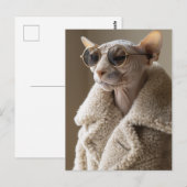 Stijlvolle Sphynx Cat in zonnebril en Sherpa Coat Briefkaart (Voorkant / Achterkant)