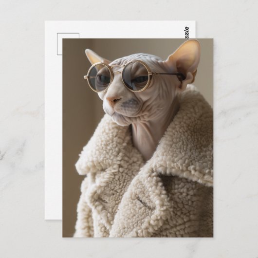 Stijlvolle Sphynx Cat in zonnebril en Sherpa Coat Briefkaart (Voorkant / Achterkant)