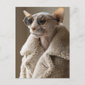 Stijlvolle Sphynx Cat in zonnebril en Sherpa Coat Briefkaart (Voorkant)
