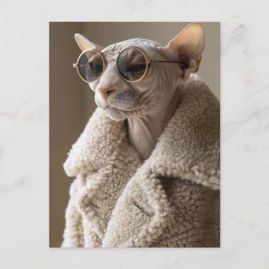 Stijlvolle Sphynx Cat in zonnebril en Sherpa Coat Briefkaart (Voorkant)
