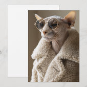 Stijlvolle Sphynx Cat in zonnebril en Sherpa Coat Kaart (Voorkant / Achterkant)