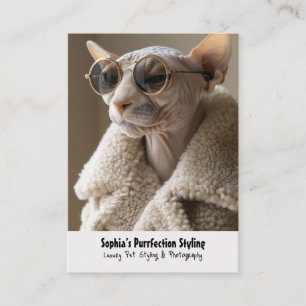 Stijlvolle Sphynx Cat in zonnebril en Sherpa Coat Visitekaartje