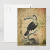  stijlvolle toucan Frans Carte Postale Briefkaart (Voorkant / Achterkant)