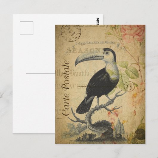  stijlvolle toucan Frans Carte Postale Briefkaart (Voorkant / Achterkant)