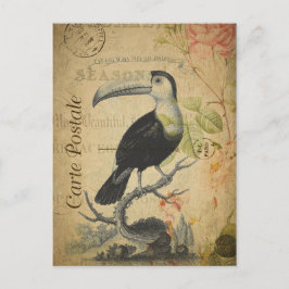 stijlvolle toucan Frans Carte Postale Briefkaart